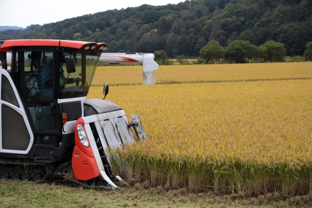 Modern rice harvesting machine cutting golden rice fields in Japan