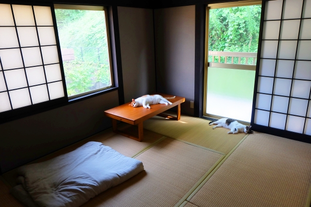 Tatami room with minimal furniture showing a flexible multi-purpose living space in Japan