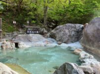 Outdoor onsen bath surrounded by rocks and forest, with steam rising from the water