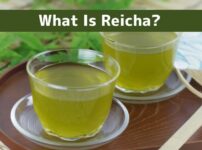 Two glasses of reicha (Japanese cold green tea) served in clear glass cups