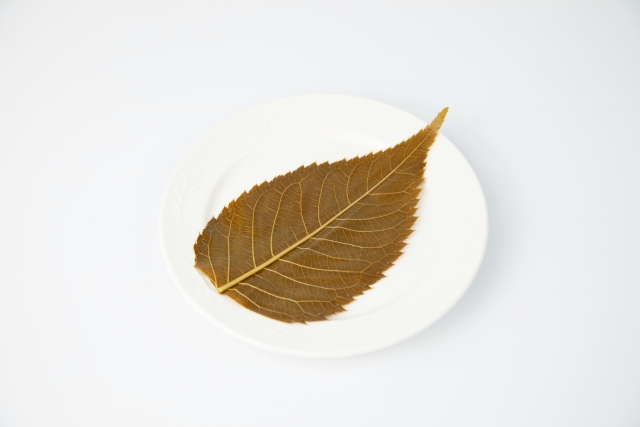 Pickled cherry leaf used to wrap sakura mochi