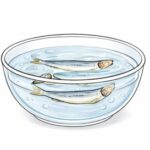 Niboshi soaking in water for cold extraction