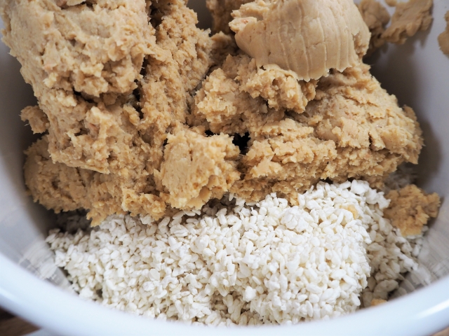 Soybeans and rice koji prepared together during the early stage of Japanese miso making.