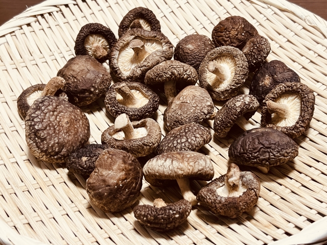 Sun-dried shiitake mushrooms drying on a bamboo tray, showing the traditional process that increases umami flavor
