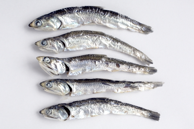 Niboshi dried sardines used for Japanese dashi