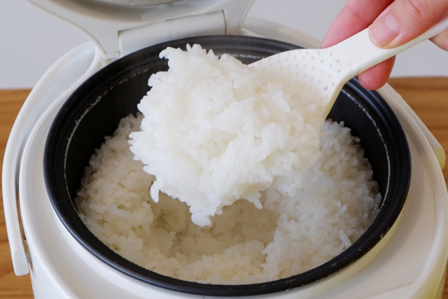 <img src="画像URL" alt="Freshly cooked Japanese rice lifted from a rice cooker with a rice paddle, showing its soft and slightly sticky texture.">