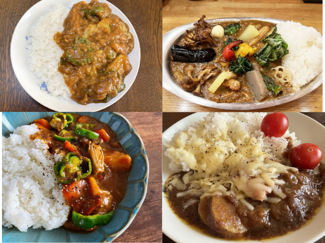 Four different styles of homemade Japanese curry rice