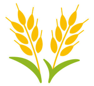 Illustration of wheat, an ingredient commonly used in many Japanese soy sauces.