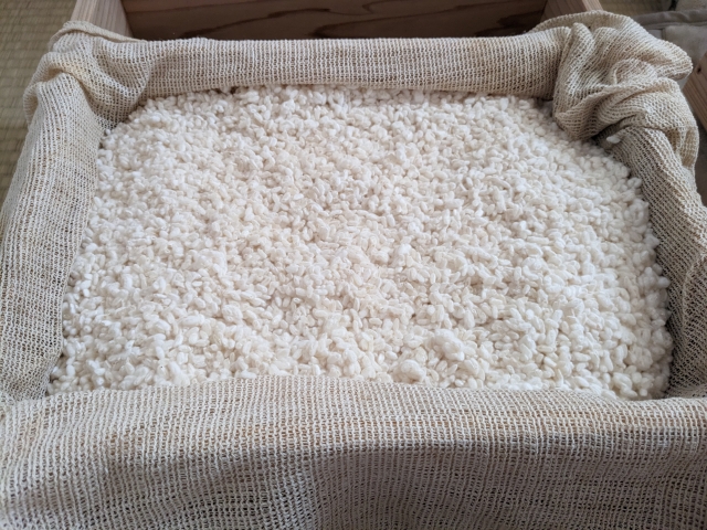 Rice koji used to break down rice starch into sugars in mirin production