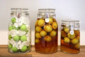 Glass jars showing Japanese green plums with rock sugar and homemade umeshu plum liqueur